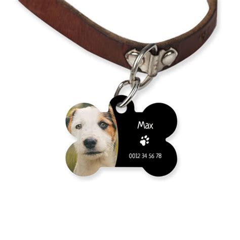 médaille chien et chat.